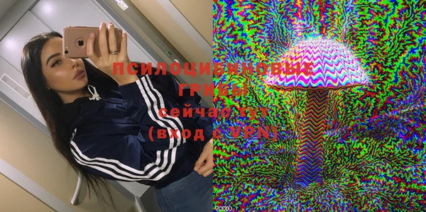 дживик Сатка
