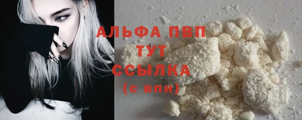 дживик Сатка