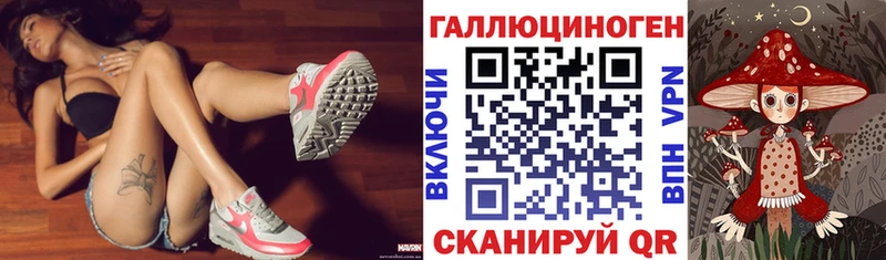 Галлюциногенные грибы Psilocybine cubensis  Великий Устюг 