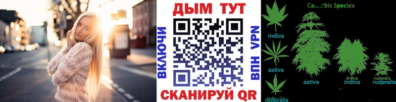 блэк спрут как войти  Великий Устюг  Канабис конопля 